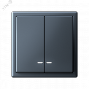 ARTGALLERY 2-клавишный ВЫКЛЮЧАТЕЛЬ с подсветкой, сх.5а, 10АХ, механизм, быстрозажимные клеммы, ГРИФЕЛЬ GAL000753S