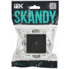 SKANDY Выключатель 1-клавишный проходной с индикацией 10А SK-V08T титан IEK SK-V12-1-10-K48