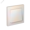 Выключатель 1-кл. СП AtlasDesign 10А IP20 (сх. 1) 10AX в сборе жемчуж. SE ATN000412