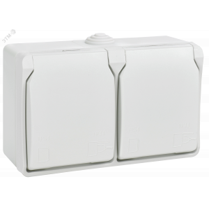 FORS Розетка 2-местная с заземлением для открытой установки 16А IP54 РСб22-3-ФБ белый ERS22-K01-16-54-DC