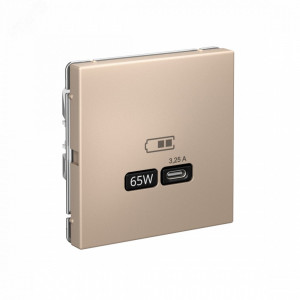 ARTGALLERY USB розетка тип-С 65Вт высокоскор.заряд. QC, PD, механизм, песочный GAL001227