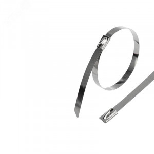 Хомут стальной 100x4,6мм (10 шт/уп) 07-0118-10