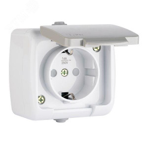 Розетка 1-м ОП Мурманск 16А IP54 с заземл. защ. шторки с крышкой сер. EFR16-029-30-54