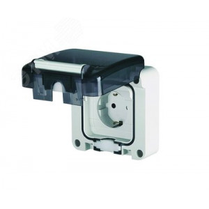 Розетка панельная. Защита IP66 с вставленной вилкой DIS1374407