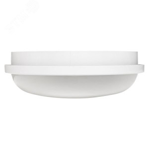 Светильник светодиодный ЖКХ ДПО-2010 15Вт 6500К IP65 круг PROxima BKL-2010-R-15-6500