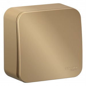 Выключатель BLANCA одноклавишный наружный (схема 1) 10A 250B титан BLNVA101004