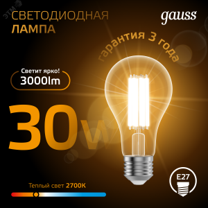 Лампа Filament А70 30W 3000lm 2700К Е27 LED 1/10/40 102902130
