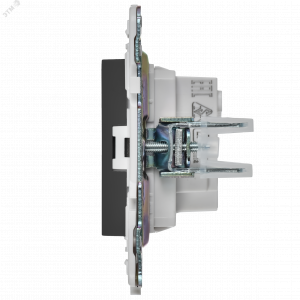 SKANDY Розетка без заземления без защитных шторок 10А SK-R02T титан IEK SK-R10-10-K48