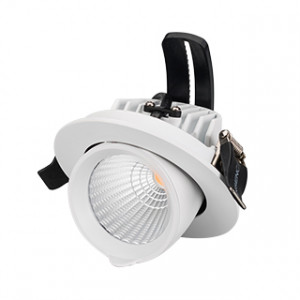 Светильник LTD-EXPLORER-R100-12W Warm3000 (WH, 38 deg) 024026, Встраиваемый поворотно-выдвижной светильник. Мощность 12 Вт, св. поток 890 лм, 74 лм/Вт, теплый 3000 K, CRI>90, угол 38°, напряжение питания 230 В. Белый круглый корпус из алюминия, экран стекло, степень защиты IP20. Угол поворота 350°, угол наклона 45°.