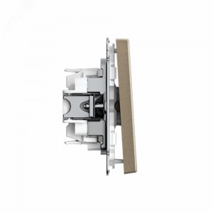 ARTGALLERY Перекрестный ПЕРЕКЛЮЧАТЕЛЬ, 10АХ, механизм, быстрозажимные клеммы, ШАМПАНЬ GAL000571S