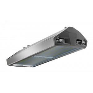 Светильник уличный ЕСАУЛ ДКУ-100 750 ШБ УТ000020653