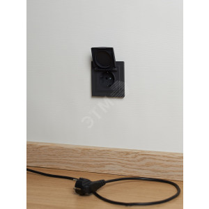 Розетка BRITE РСбш10-3-44-БрГ 16А IP44 с заземл. защ. шторки с крышкой графит BR-R16-16-44-K53