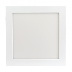 Светильник DL-225x225M-21W Warm White 020137, Тонкая панель 21Вт, белый квадратный корпус. Цвет ТЕПЛЫЙ БЕЛЫЙ 3000K, св.поток 1575-1680лм, CRI(Ra)>80, угол 120°. Размер 225x225мм, высота корпуса 13мм, установка в отверстие 210x210мм. Питание AC 180-240V, 21Вт, драйвер в комплекте (DC300mA, 55-65V).