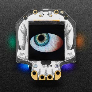4300, Макетные платы и комплекты - ARM Adafruit HalloWing M4 Express - ORANGE HALLOWEEN EDITION!
