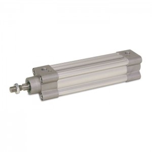 P1F-S080MS-0100-0000