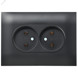 SKANDY Розетка 2-местная без заземления без защитных шторок 10А в сборе SK-R10Bl черный IEK SK-R20-10-K02-F