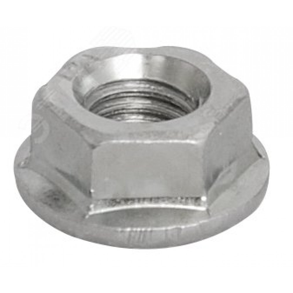 Изображение товара Гайка со стопорным буртом М8 IEK CLP1M-N-8-2