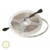 2835 300LED IP65 12V W-WHITE