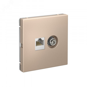 ARTGALLERY розетка двойная ТВ + компьютерная RJ45, кат. 5Е, песочный GAL001289