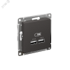 ATLASDESIGN USB РОЗЕТКА A+A, 5В/2,1 А, 2х5В/1,05 А, механизм, БАЗАЛЬТ ATN001433