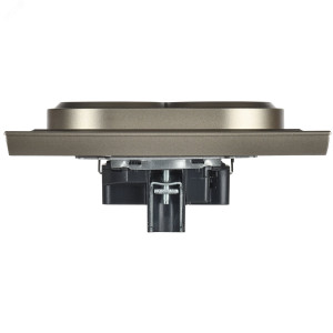 Розетка 2-м СП BRITE РС12-3-БрШ 16А в сборе с заземл. без защ. шторок шампань BR-R21-16-K37-F