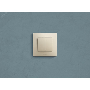 Выключатель 2-кл. СП Etika 10А IP20 250В 10AX безвинтов. зажимы механизм сл. кость Leg 672302