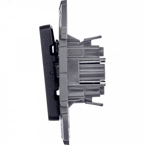 Переключатель 1-кл. Inspiria 10А IP20 250В 10AX механизм антрацит Leg 673653