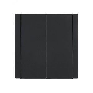 FORTE&PIANO Выключатель 2-клавишный проходной 10А FP107 черный IEK FP-V22-0-10-1-K02