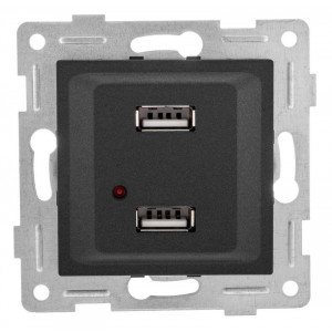 Розетка USB 2-м СП Ugra механизм графит С11USB2-010