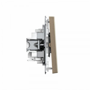 ARTGALLERY 2-клавишный ВЫКЛЮЧАТЕЛЬ, 10АХ, механизм, быстрозажимные клеммы, ШАМПАНЬ GAL000551S