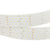 Лента RT 2-2500 24V Day4000 5x2 (2835, 875 LED, CRI98) 025163