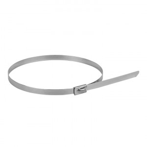 Хомут AISI 304 из нержавеющей стали, 4.6x290 (10 шт.) FlexLock PROxima plc-fl-tss-304-4.6x290-r