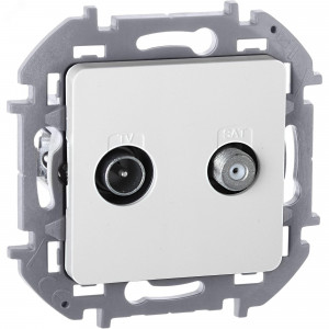 Роз TV/SAT звезда БЕЛ INSPIRIA 673880