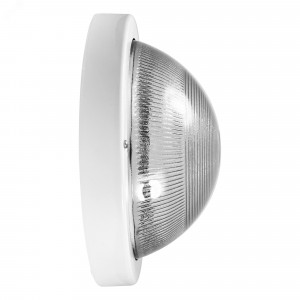 Светильник НПП 03-100-001 