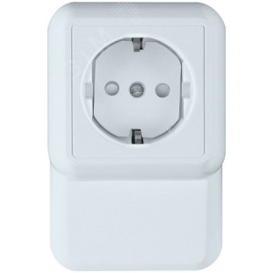 ПРИМА О/У РОЗЕТКА с зазем. со шт. ПЛИНТУСН.МОНТ.ПЛ.16А 250В, БЕЛЫЙ,опт.уп.Россия C3(2) RA16-003-2M-B