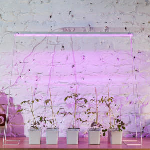 Светильник для растений ULI-P21-24W/SPSB IP40 WHITE светодиодный линейный 872 мм выкл на корпусе Алюминий Спектр для рассады и цветения UL-00008921