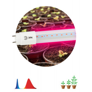 Фитолампа для растений светодиодная ЭРА FITO-18W-RB-Т8-G13-NL красно-синего спектра 18 Вт Т8 G13(кр.5шт) [Б0042990]