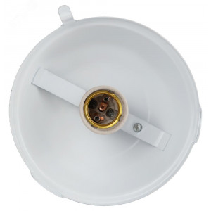 Светильник НСП 02-100-001 без решетки Желудь сталь / стекло IP54 E27 max 100Вт 170х260 белый Б0052017