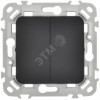 FLITE Выключатель 2-клавишный 10А ВС12-1-0-ФлЧ черный IEK FI-V20-0-10-1-K02