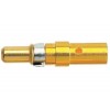 XEL6060-152MEB