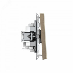 ARTGALLERY 1-клавишный ВЫКЛЮЧАТЕЛЬ, 10АХ, механизм, быстрозажимные клеммы, ШАМПАНЬ GAL000511S