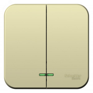 Выключатель 2-кл. ОП Blanca 10А IP20 (сх. 5) 250В с подсветкой с изолир. пластиной беж. SE BLNVA105117