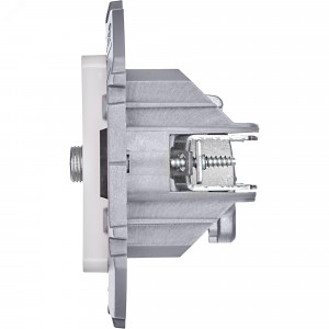 Роз TV/SAT звезда БЕЛ INSPIRIA 673880