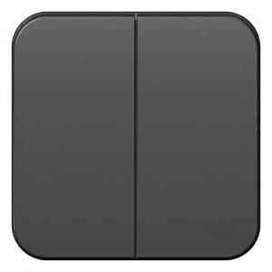 Выключатель 2-кл. ОП Blanca 10А IP20 (сх. 5) 250В с изолир. пластиной антрацит SE BLNVA105016