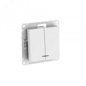 ATLASDESIGN 2-клавишный ВЫКЛЮЧАТЕЛЬ с подсветкой, сх.5а, 10АХ, быстрозажимные клеммы, БЕЛЫЙ ATN000153S