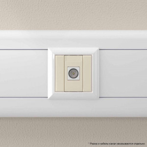 Розетка телевизионная одиночная TV 1мод. Avanti 