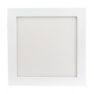 Светильник DL-225x225M-21W Warm White 020137, Тонкая панель 21Вт, белый квадратный корпус. Цвет ТЕПЛЫЙ БЕЛЫЙ 3000K, св.поток 1575-1680лм, CRI(Ra)>80, угол 120°. Размер 225x225мм, высота корпуса 13мм, установка в отверстие 210x210мм. Питание AC 180-240V, 21Вт, драйвер в комплекте (DC300mA, 55-65V).