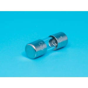 FS-45GF-1.0/250, Предохранитель 4.5х14.5мм, стеклянный, быстрый, 1.0А/250В (SGS)