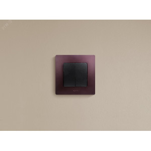 Выключатель 2-кл. СП Etika 10А IP20 250В 10AX авт. зажимы механизм антрацит Leg 672602