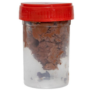 Комплект заземления, 3м HZ PROxima gc-21300